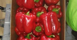 Hello. A farm in the municipality of Przytyk for