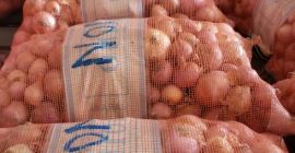 La qualità delle cipolle riceve ulteriori informazioni da noi