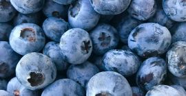 I will sell blueberry about 1 tonne. Packed 3