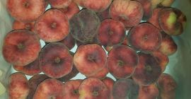 Voi vinde piersic paraguayo, importat, proaspăt, drăguț, suculent.