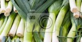 I will sell large quantities of leek, about 4