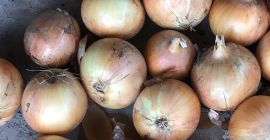 I will sell onions from Uzbekistan, caliber 5+, in