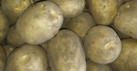 Ich werde Kartoffeln aus Weißrussland in jeder Menge ab