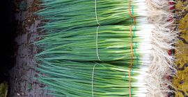 Voi vinde parada arpagicului. Cantități mari posibile