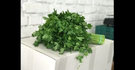 We accept contract orders for herbs (dill, parsley, coriander,