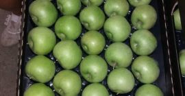 - Apfel Oma Kaliber 70+ Verpackung Karton zwei Reihen
