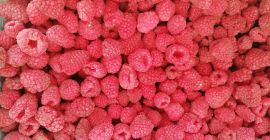 Предлагаем замороженную продукцию! В наличии замороженные ягоды - малина,