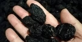 Prunes with pitted and pitted Serbia We offer you