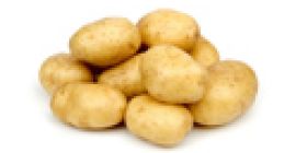 Kaufen Sie frische Kartoffeln von Holland WhatsApp + 380-509-856-820