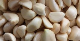 Я продаю белый чеснок WhatsApp + 380-509-856-820 для более