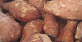 Продам сладкий картофель (батат), для промышленности, импорт из Испании.