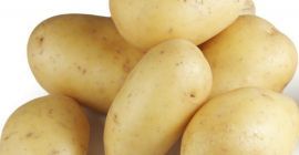 Kaufen Sie frische Kartoffeln aus Holland und kontaktieren Sie