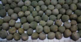 Точка за зареждане на сушен зелен грах: Букурещ -