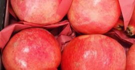 variety :- Wonderful Packing: - carton 5kg gross, 4.5