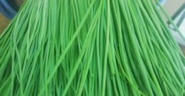 Bună, Suntem cultivator de legume și ierburi În Tanzania,