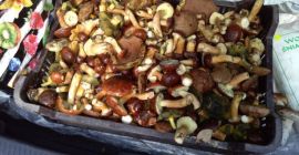 Fresh mixed mushrooms collected on request, mainly mushrooms
