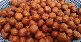 Benvenuti. Importiamo nocciole dalla Georgia di vario calibro. Nocciola,