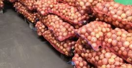I will sell dry, well harvested onions, caliber 5-7.
