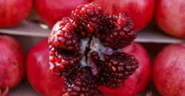 Wenn Sie kaufen möchten, können wir den Preis, die