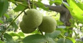 se vuoi comprare possiamo discutere il suo prezzo, il