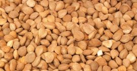 Продају се коштице кајсије