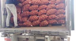 Sell potatoes wholesale in Pavlodar, Kazakhstan, caliber 4+. Potatoes