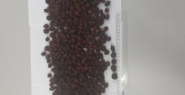 Mazze asciutte, alta qualità, ecologico, +37368202888, viber, watsap. Consegniamo