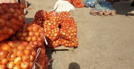 Ceapă, Țara de origine: Uzbekistan, Ambalare: pungi de 30