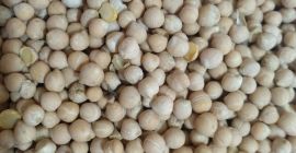 VInd Naut roada 2019 240 tons