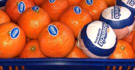 Для продажи - МАНДАРИН калибр 1, 2, 3, 4