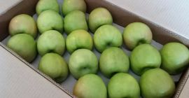 Granny Smiths, dimensioni mela 65+, calibrata e confezionata in