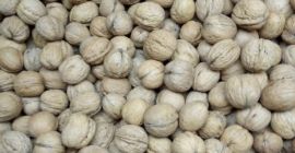 Ho in vendita le noci del raccolto di quest&#39;anno.