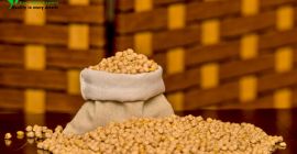 ciecierzyca MOQ 18 TON FIRSTEYE AGRO EXPORT web www.peanuts.sd