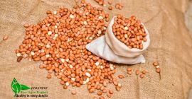 арахис MOQ 18 TONS FIRSTEYE AGRO EXPORT web www.peanuts.sd