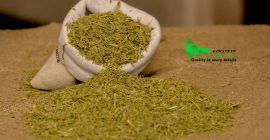 CUMIN SEEDS MOQ 18 TONS FIRSTEYE AGRO EXPORT web