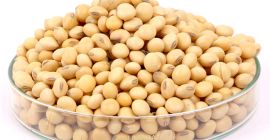 Premium Quality Soybean Seed at Reasonable Price OVERVIEW Soybean