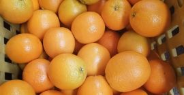 Hello. we are a Moroccan company dealing in the