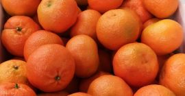 Гръцка Premium Clementine EXW ЦЕНА =&gt; 0.68 € /