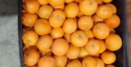 KAL 4 5 6. ТАНДЕРЫ Упакованы по 15 кг