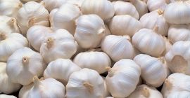 The package for 2015 new fresh garlic: 5kg/mesh bag,10kg/mesh