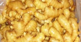 Preisliste für frisches Gemüse (frischer Ingwer) --- liefern mehr