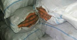 Продаю морковь и соленья
