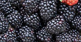 Fresh fruits produce
