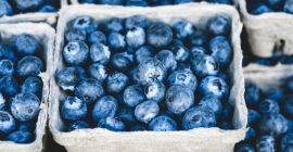 Fresco e congelato disponibile