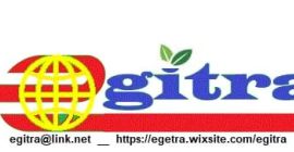 Пресни портокали от пъпа - клас 1 - размер