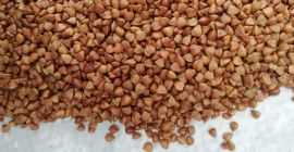 We sell buckwheat of excellent quality! In bags of