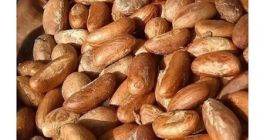 горка кола на продају, контактирајте нас ако вас занима.