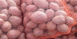 Ich verkaufe gelbe essbare Kartoffeln mit roter Haut, sehr