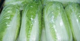 I will sell beautiful Peking cabbage, large, healthy green