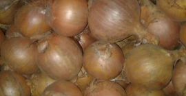 Аз ще продам &gt;&gt; Вътрешна книга